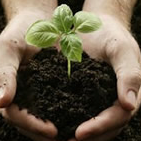 healthy-relationship-strong-marriage build a relationship help avoid divorce strengthen marriage counselor